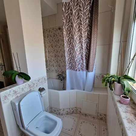 Comfortable 4 Minutes Walk To Basel Shared 게스트하우스 *