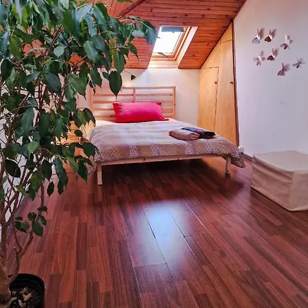 게스트하우스 Comfortable 4 Minutes Walk To Basel Shared 생루이
