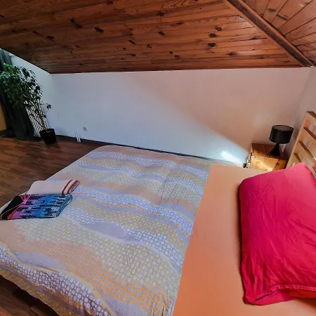Comfortable 4 Minutes Walk To Basel Shared *