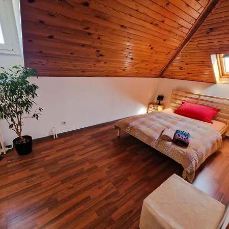 Comfortable 4 Minutes Walk To Basel Shared Saint-Louis (Haut-Rhin)